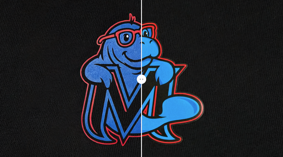 DTF vs. Screen Printing: Which One Is Right for Your Custom Apparel?
